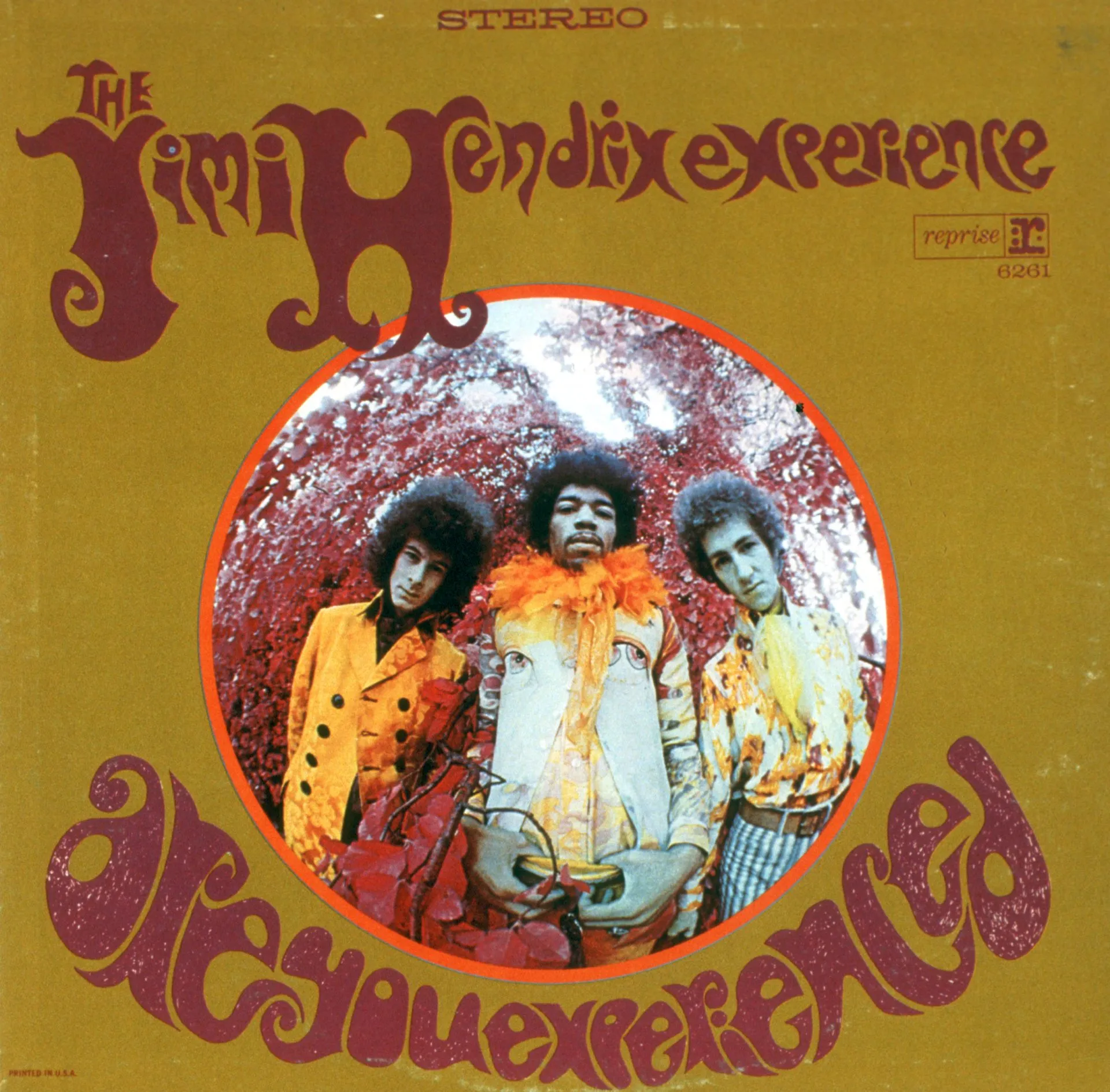 JIMI HENDRIX-ARE YOU EXPERIENCED